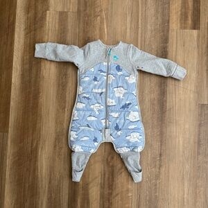 Love to Dream Sleep Sack Wearable Blanket